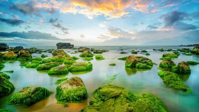 Khám phá vẻ đẹp hoang sơ của Rạn Nam Ô – Thiên đường biển xanh tại Đà Nẵng