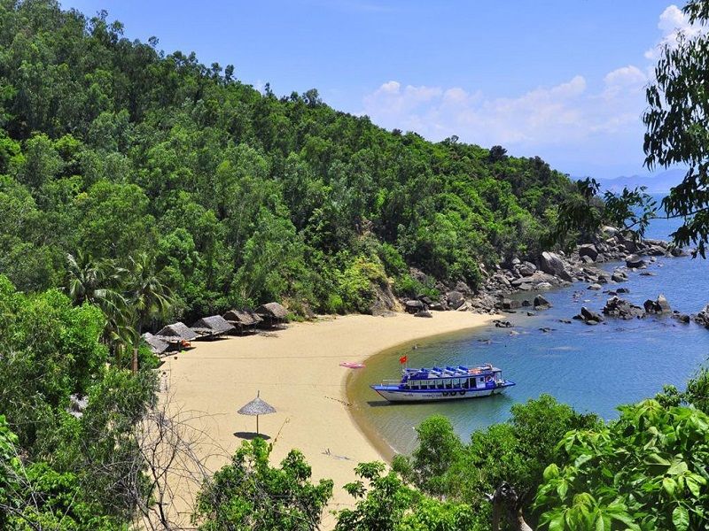 Trải nghiệm hoang sơ tại Khu cắm trại bãi Cát Vàng – Điểm đến lý tưởng cho người yêu thiên nhiên
