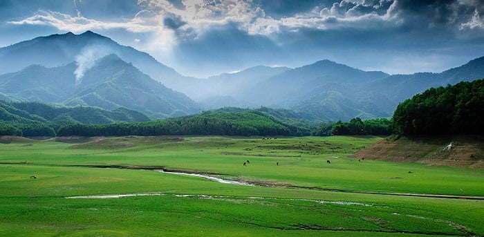 Hồ Hòa Trung Đà Nẵng 2025: Kinh nghiệm khám phá chi tiết