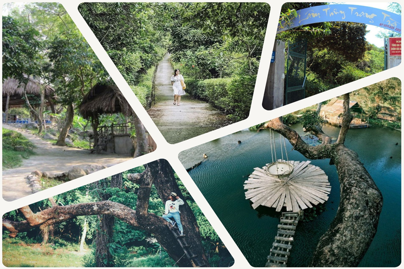 Nhất Lâm Thủy Trang Trà - Hương Thơm Đặc Trưng Của Làng Quê Cổ Kính - Hồng Công Travel