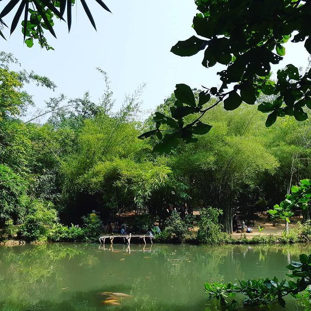 Sơn Trà Tịnh Viên Thôn Trang Xanh Yên Bình